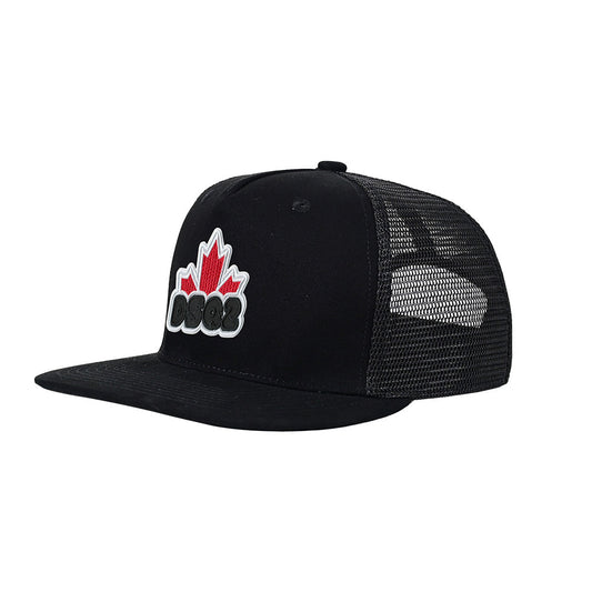 New-DSQ2  Hat